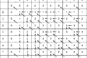 Longest Common SubSequence